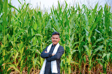 In a cornfield, a young Indian farmer