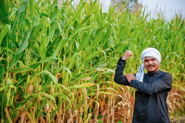 In a cornfield, a young Indian farmer