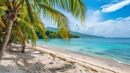 Obraz premium Tropical Beach With Palm Trees and Turquoise Water