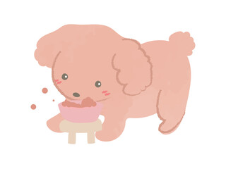 ドッグフードを食べるトイプードル　2