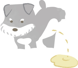 足を上げておしっこをする犬　シュナウザー