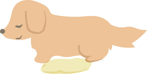 おしっこをする犬　ダックス