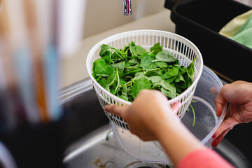 person washing spinach leaves, woman hand, home cooking concept