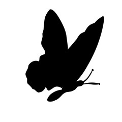 Butterfly Silhouette