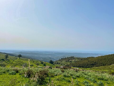Mountains of the Algarve region, Portugal. Monchique, Silves