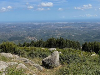 Nature of Monchique. Spring, relict trees, eucalyptus