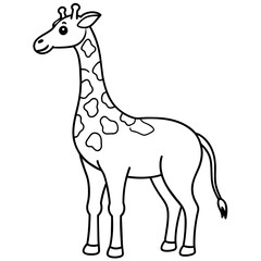 giraffe vector illustration