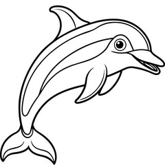 dolphin isolated on white