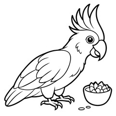 parrot on a white background