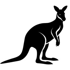 kangaroo illustration