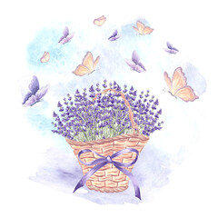 Lavender and butterflies. Floral bouquet in basket with bow. Hand drawn watercolor illustration of Provence spring flowers, herbs. Isolated template for card, print, tableware, textile, embroidery.