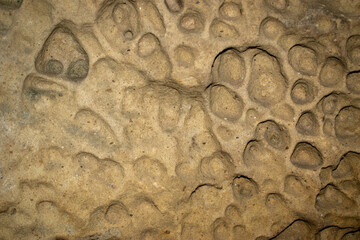 Round holes in the old rock
