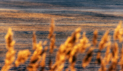 North-eastern European river after frosty winter. Ice began to melt, ice is saturated with...