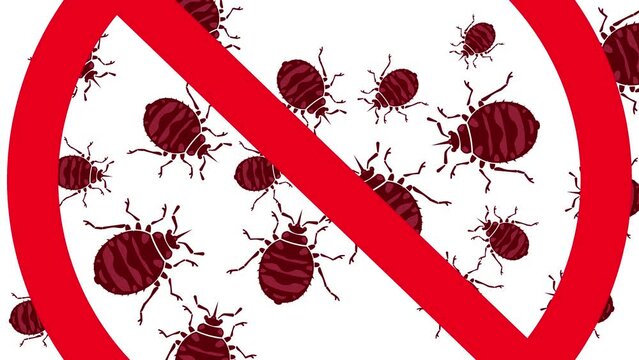 Animation, attention bedbugs.