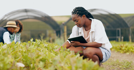 Tablet, inspection and black woman in greenhouse for farming with vegetables, leaves or greenery....