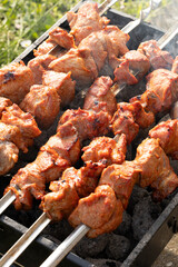 shish kebab shashlik on the grill