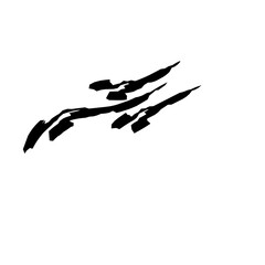 Black Brush Stroke 