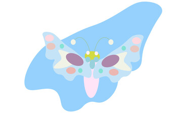 butterfly on a white background