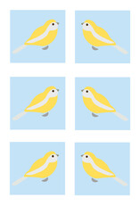 set of birds