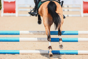 Buckskin pony hooves close-up when jumping over a barrier. Equestrian sport. Pony sport