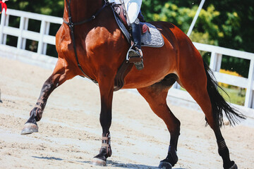 Horse legs close up. Horses volte before a fence. Show jumping. Horse pass the line to barrier