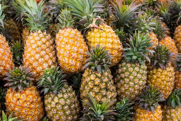 Fototapeta premium Pineapple sell in the fruit store in the market
