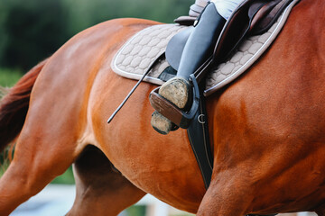 Riders active leg close-up. Equestrian Sports, Show Jumping themed photo. Chestnut horse