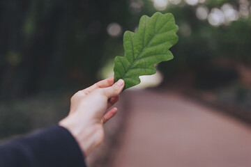 a leaf in the hand. Hand holding green leaf against green background. Moody green. 