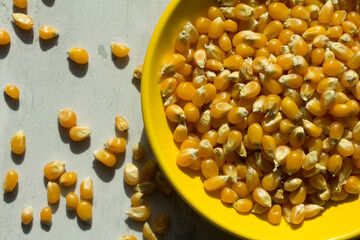 Top view photograph of raw pop corn on a plate.