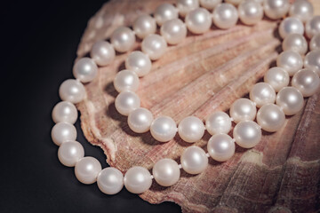 jewelry for woman made of white pearls beautifully arranged on a sea shell