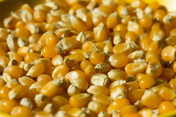 Photograph of top view of raw pop corn.