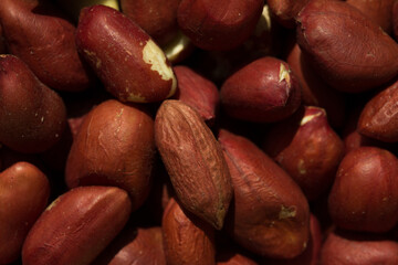 Macro photography of peanut background. Natural food concept.