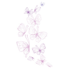 Butterflies are pink, blue, lilac, flying, delicate line art. Graphic illustration hand drawn in pink, lilac ink. Composition stream, template EPS vector