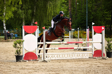 Jumping horse, horse, with rider in the jumping course at a tournament.