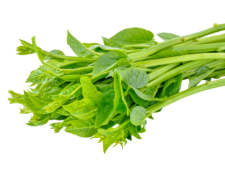 Malabar spinach or Ceylon spinach transparent png