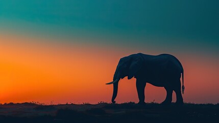 Fototapeta premium banner background of National Endangered Species Day theme banner design for microstock, no text, and wide copy space