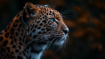 Fototapeta premium Leopard Mouth With Black Background created by ai