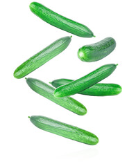 Falling cucumber, isolated on white background, clipping path. English seedless cucumber with reflection.