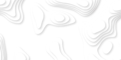 Abstract white paper cut template. Papercut topography relief vector background illustration. white papercut background. Topographic dynamic backdrop illustration. 