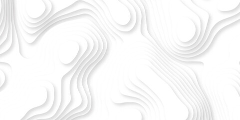 Abstract white paper cut template. Papercut topography relief vector background illustration. white papercut background. Topographic dynamic backdrop illustration. 