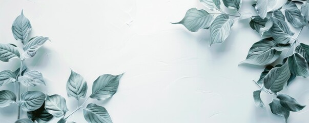 Aesthetic simplicity with leaves in gentle colors, crafted for visual harmony and optimal text placement in designs
