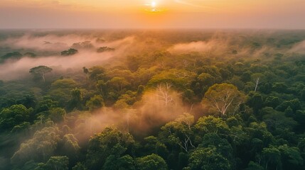 Fototapeta na wymiar Aerial view of the Amazon forest at sunset, soft fog enveloping the trees with the sun glowing at the horizon