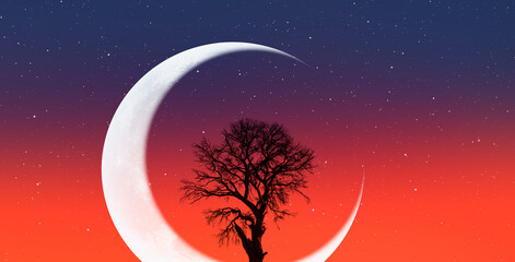 Silhouette of barren lone tree with crescent moon in the background