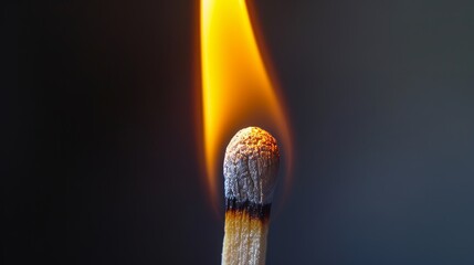 Close-up view of a matchstick just ignited, showcasing the vibrant flame burning brightly at the tip, dramatic lighting