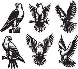 falcon vector ilastration