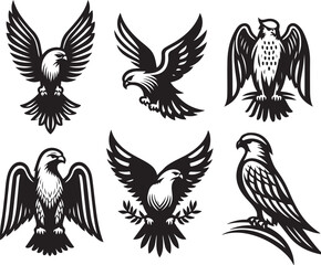 Obraz premium falcon vector ilastration