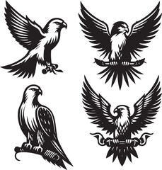 falcon vector ilastration