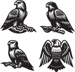 falcon vector ilastration