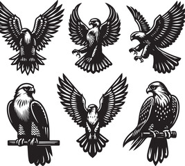 falcon vector ilastration