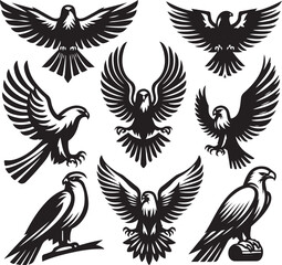 Obraz premium falcon vector ilastration